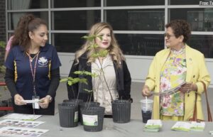 The Town of CIcero, MWRD and DIstrict 99 distributed Tree Saplings to students